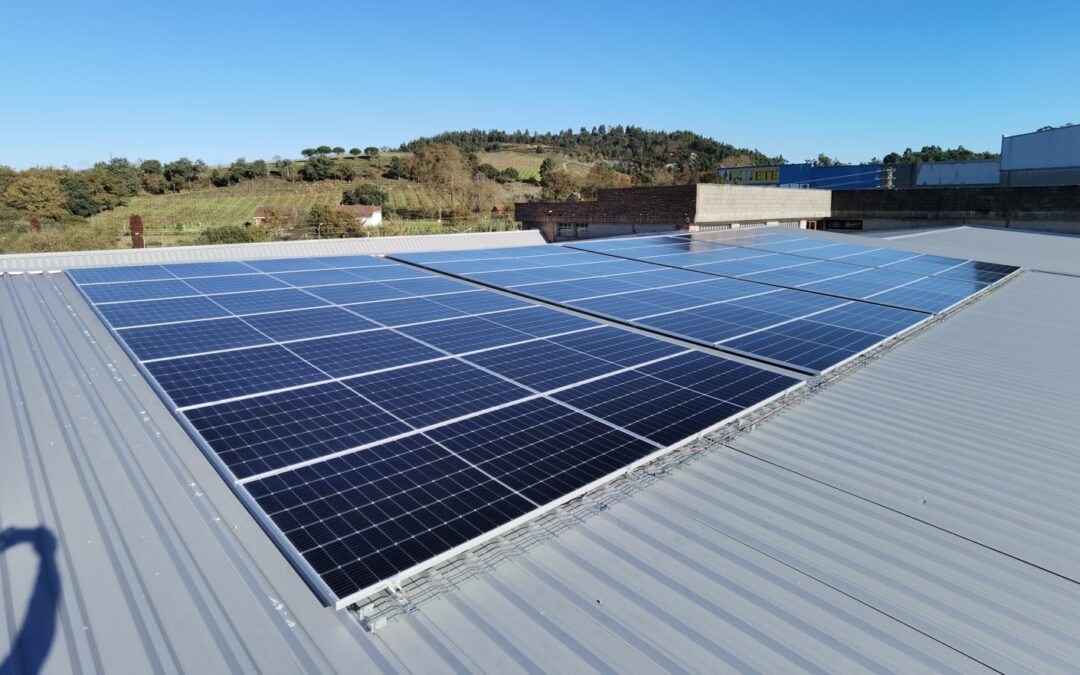 Generando un Futuro Brillante: Inauguración de la Planta Fotovoltaica